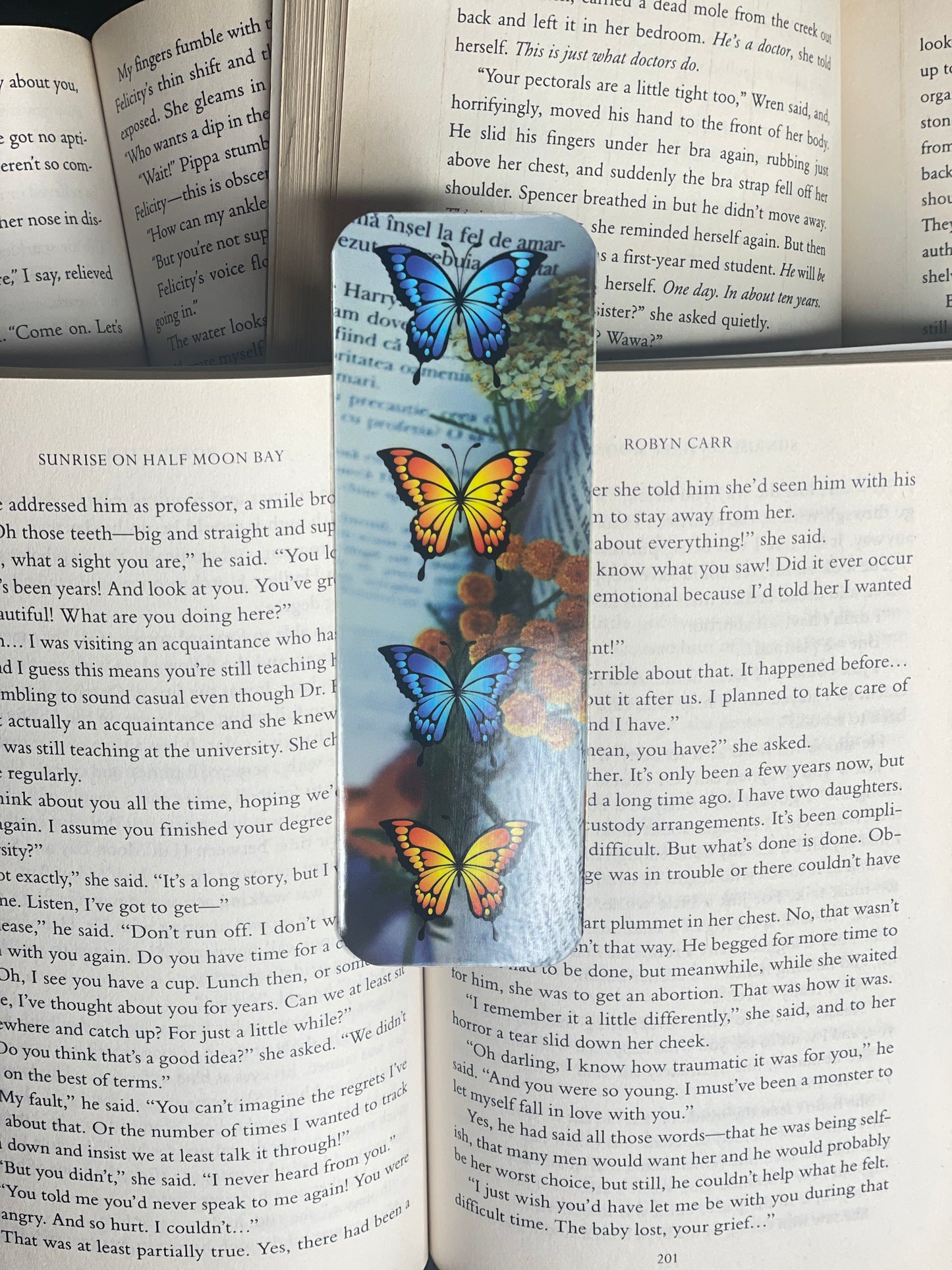Colorful Butterfly